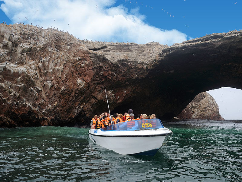Full Day Islas Ballestas + Reserva Nacional de Paracas desde Ica o Paracas